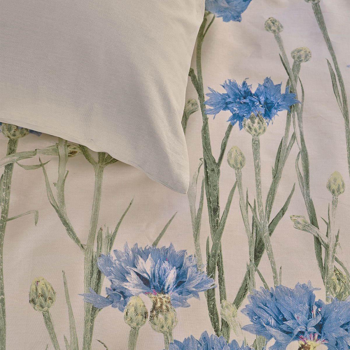 Bedding House Cornflower Sand 100% Cotton Percale Quilt Cover Set Queen