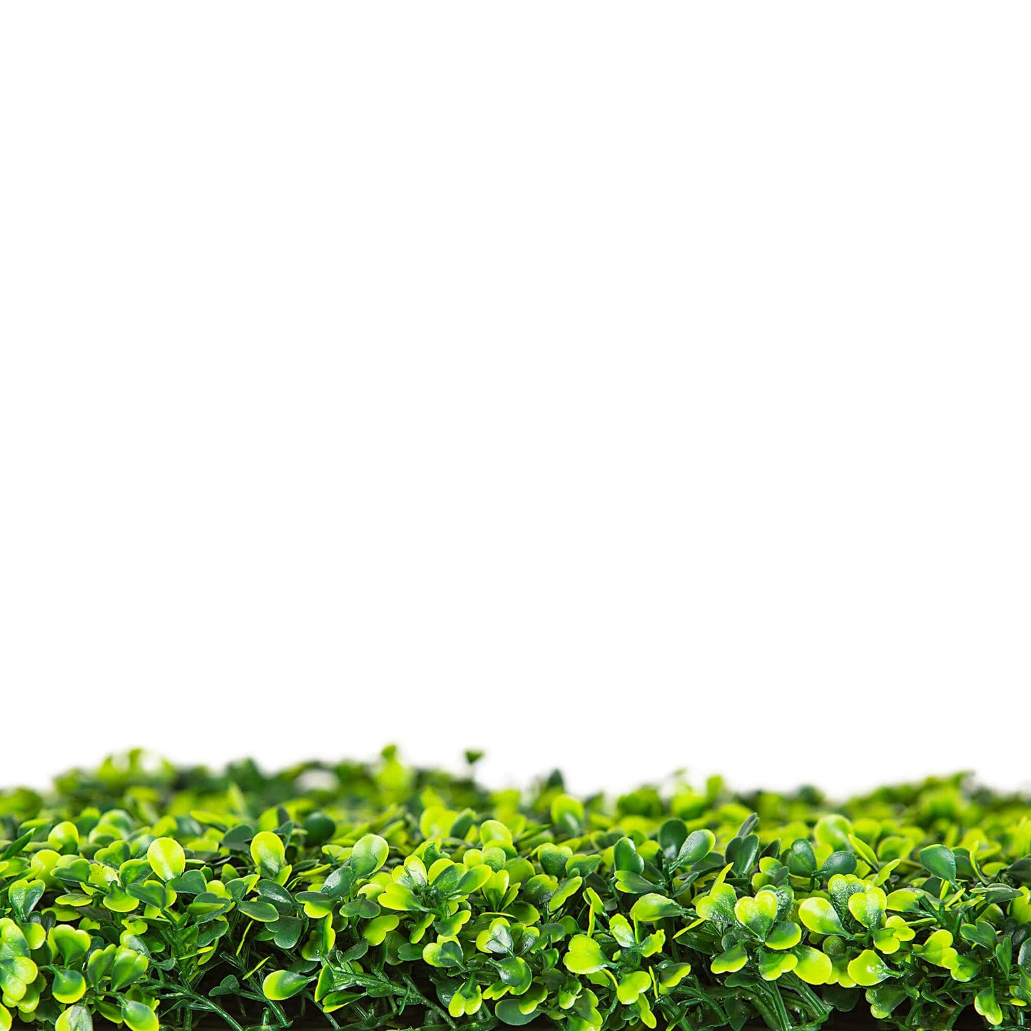 Mixed Boxwood Hedge UV Resistant 75cm Long x 75cm High