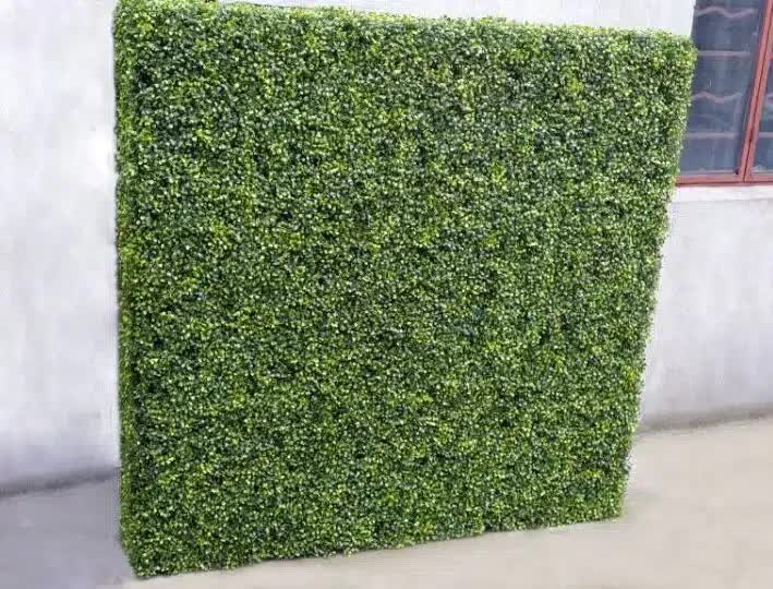 Large Portable Mixed Boxwood Hedge 1.5m by 1.5m UV Resistant