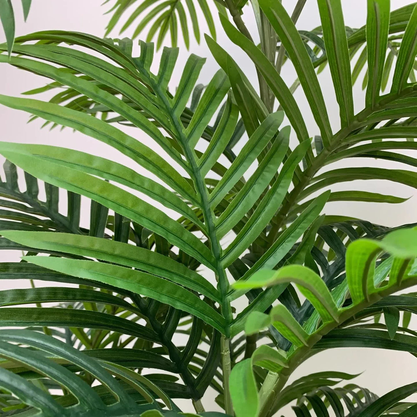 Premium Artificial Potted Multi-trunk Fan Palm 180cm