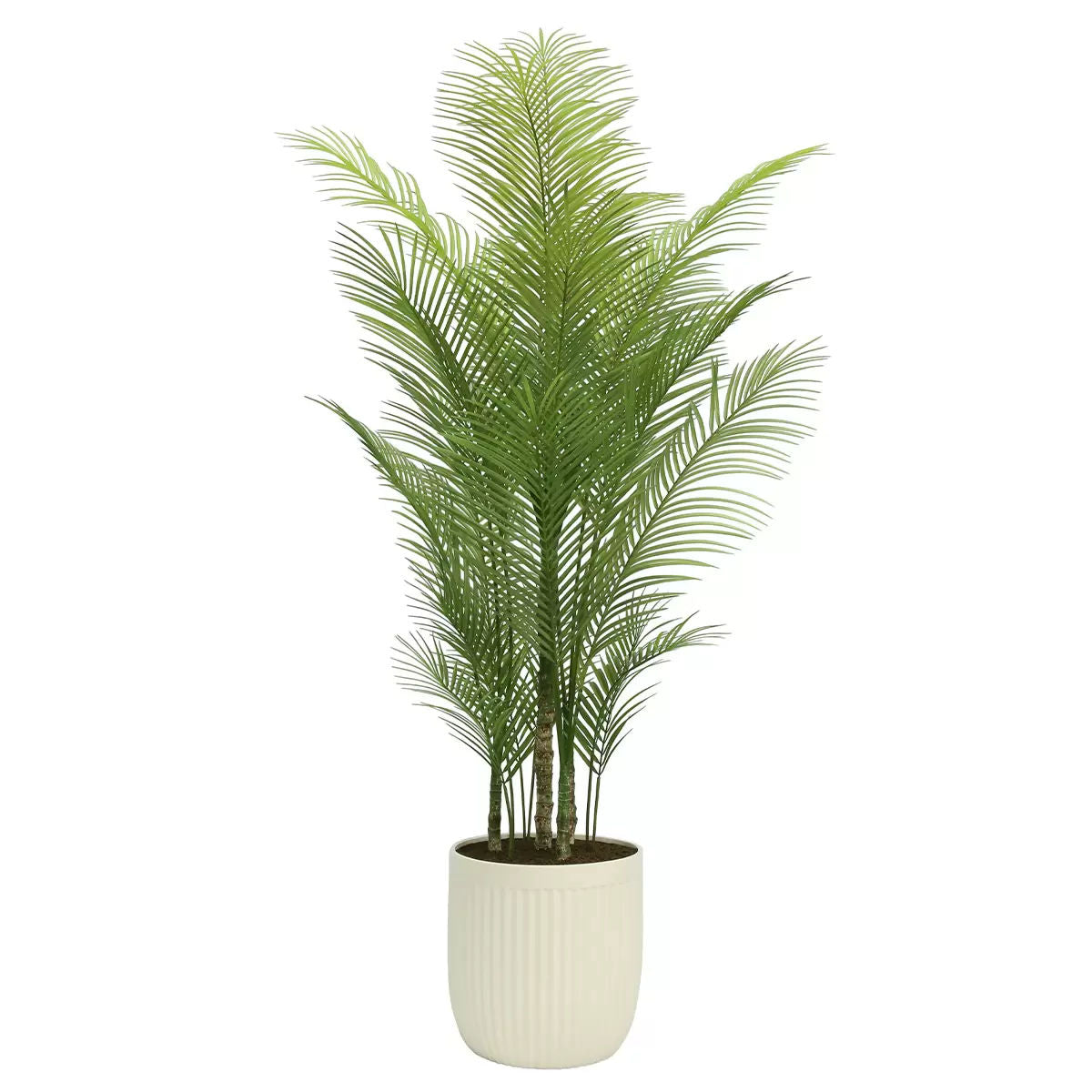 Artificial Palm Tree In Ribbed Pot 2M
