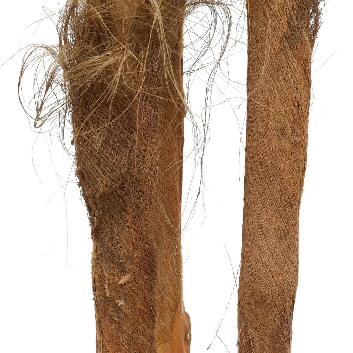 Large Tropical Palm Tree (Amazingly Real) 300cm