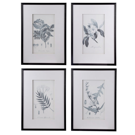 Set 4 Flora & Fauna Framed Prints 76cm
