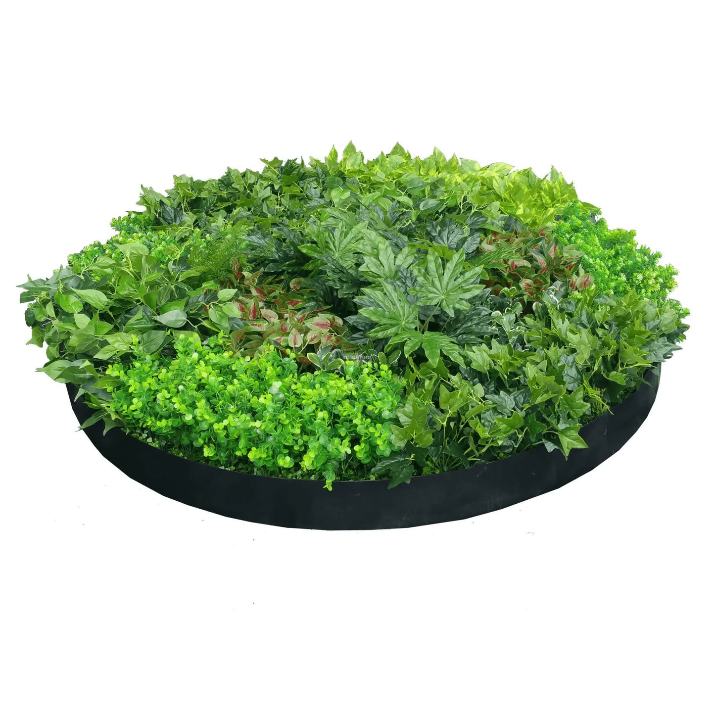Artificial Green Wall Disc Art 150cm Mixed Ivy and Philodendron (Onyx Black)