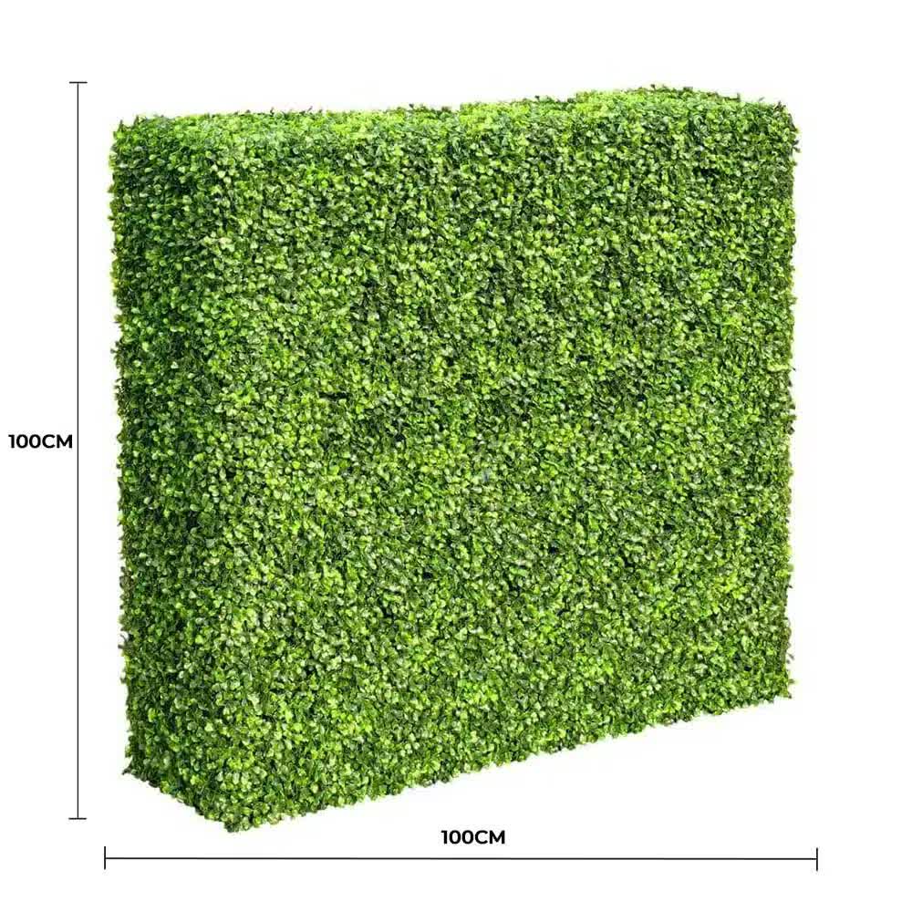 Mixed Boxwood Hedge UV Resistant 100cm Long x 100cm High