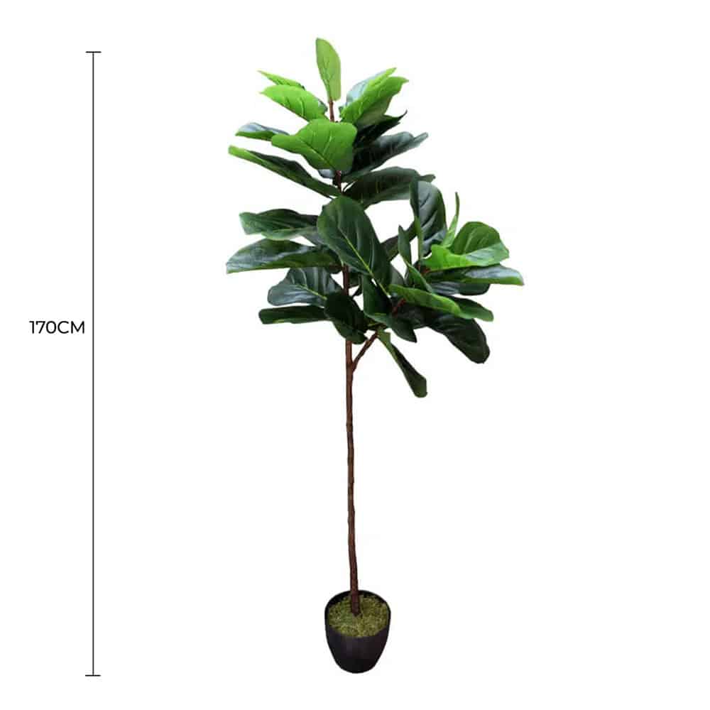 Tall Artificial Fiddle Leaf Fig 170cm