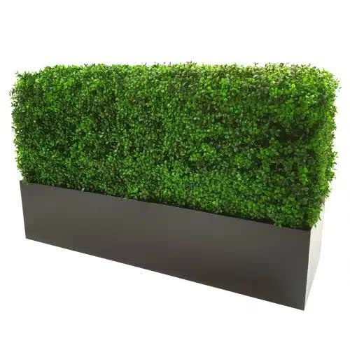 Luxury Deluxe Portable Buxus (Bright) UV Resistant 100cm Long x 50cm High x 25cm Wide
