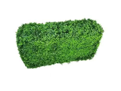 Luxury Deluxe Portable Buxus (Bright) UV Resistant 100cm Long x 50cm High x 25cm Wide