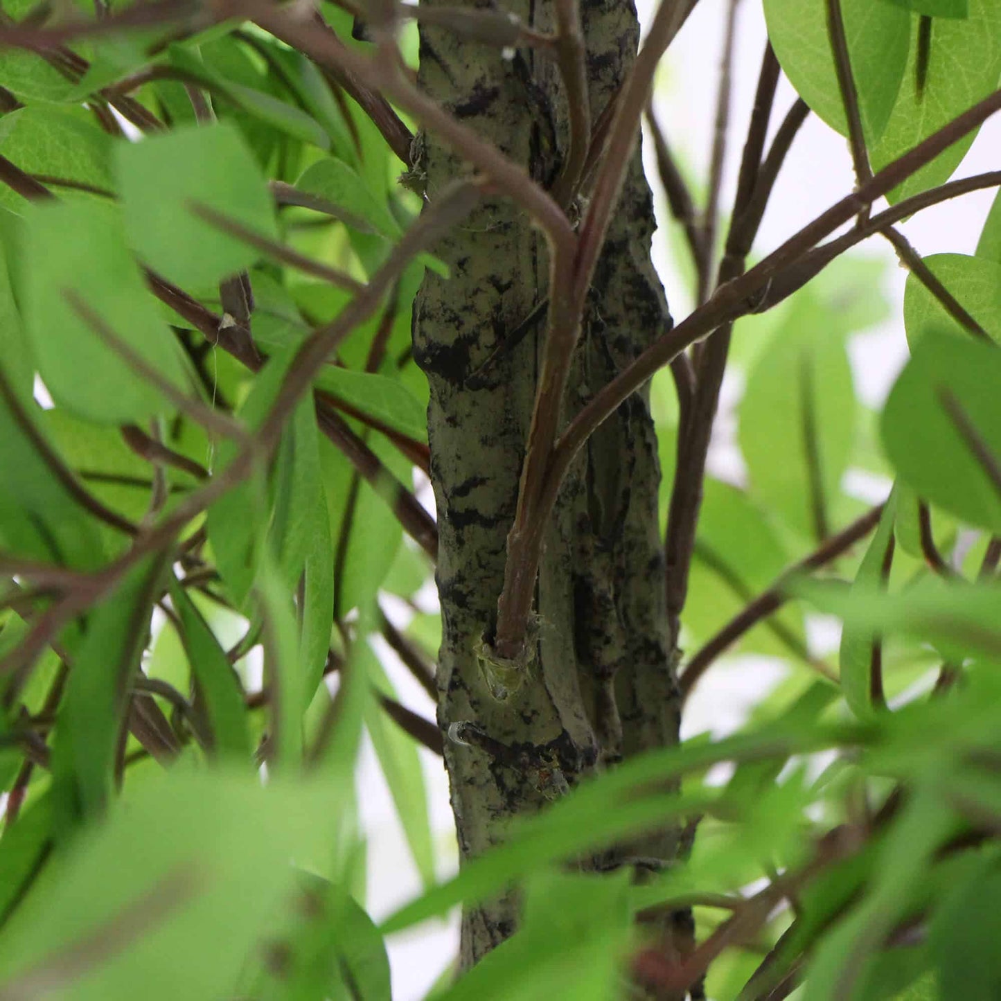Flowering Artificial Wisteria with White Flowers 180cm