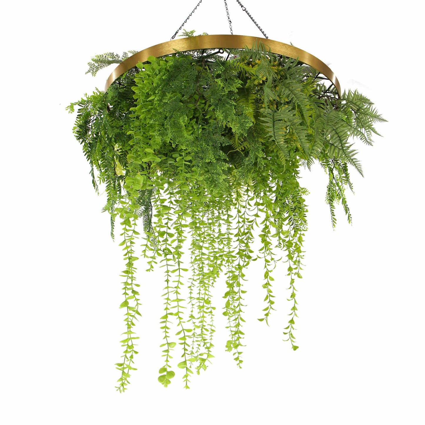 Imitation Gold Artificial Hanging Green Wall Disc 80cm (Limited Edition) UV Resistant Foliage