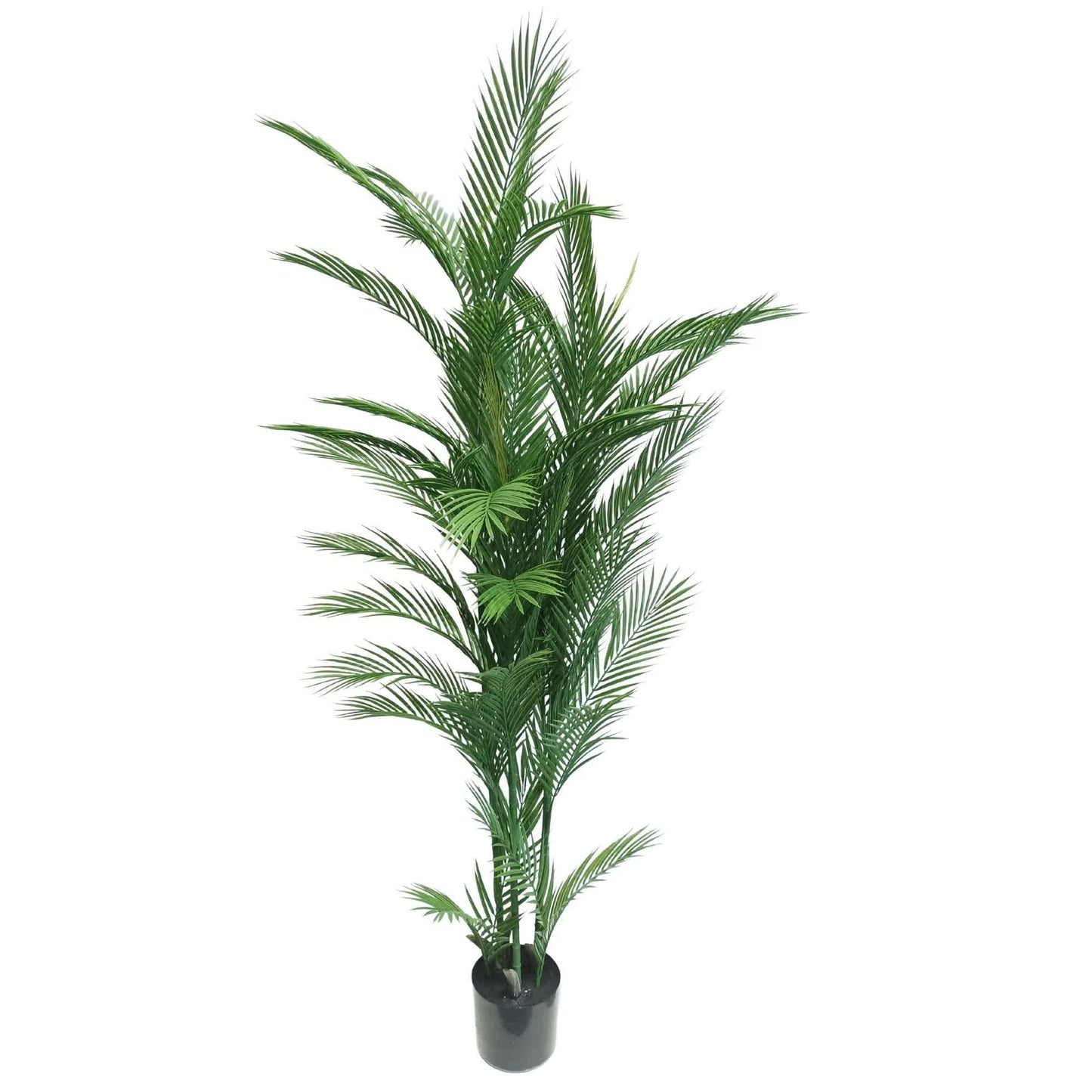 Real Touch Artificial Phoenix Palm Tree UV Resistant 180cm
