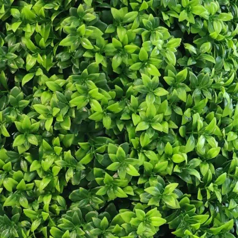 Premium Artificial 120cm Bright Buxus Tree UV Resistant