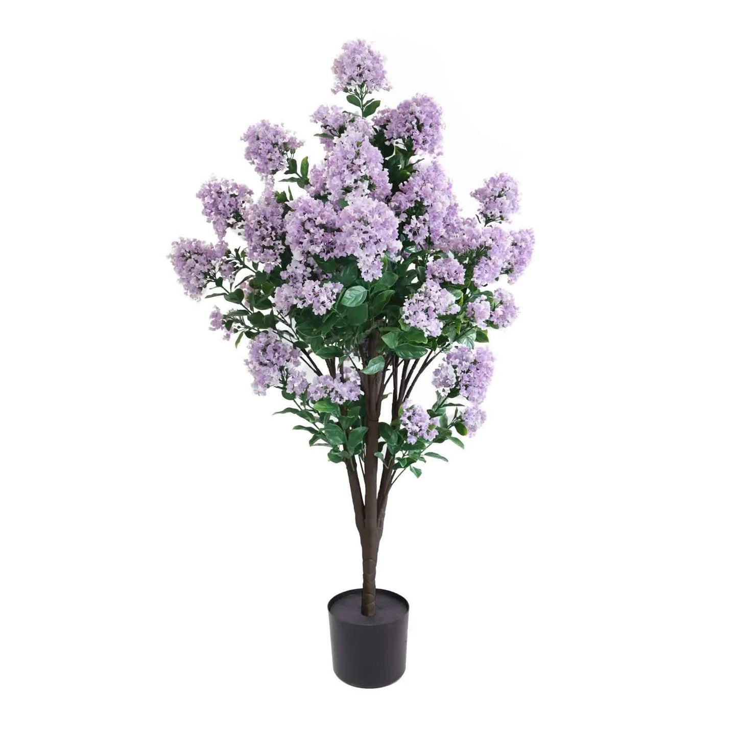 Flowering Lilac Crepe Myrtle Tree 120cm UV Resistant