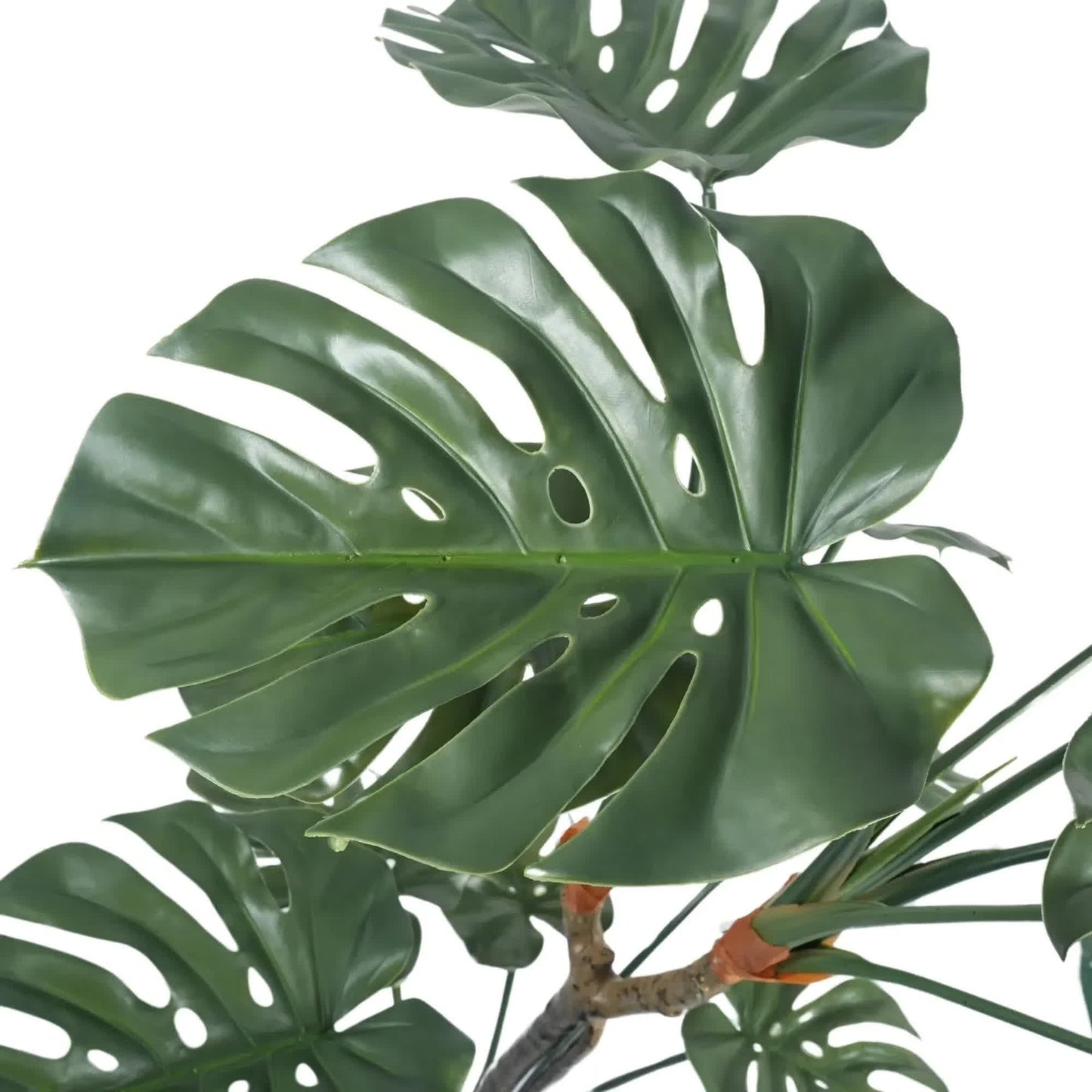 Premium Potted Monstera Split Leaf 150cm UV Resistant