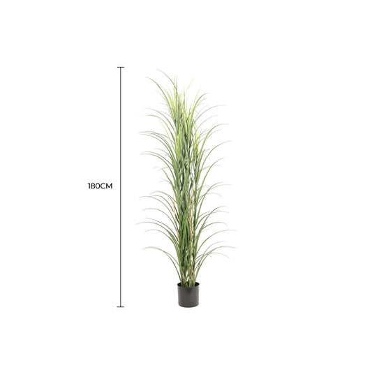 Premium Potted Artificial Long Grass (Yucca Grass / Reed Grass) 180cm UV Resistant