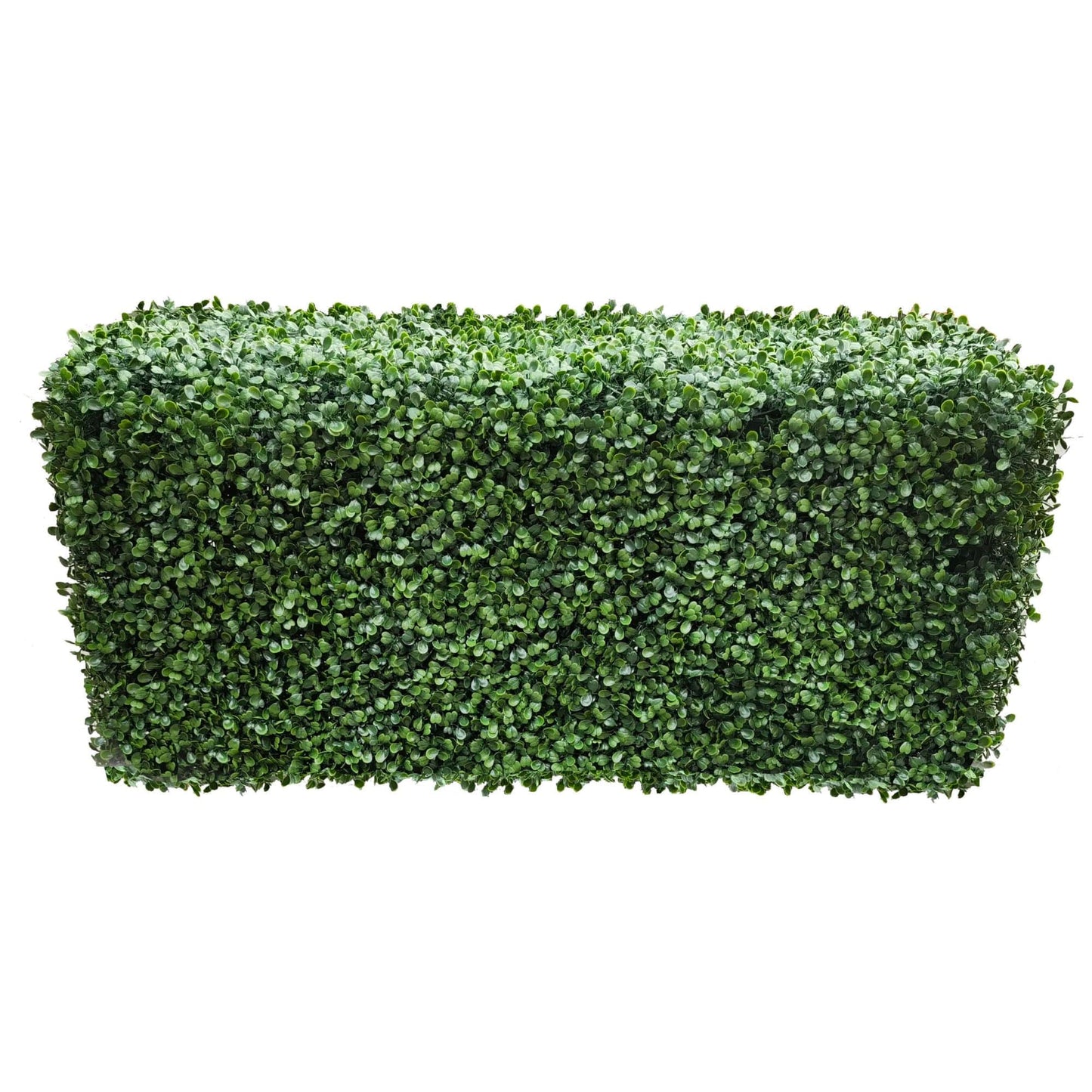 Portable Boxwood Hedge UV Resistant 100cm Long x 50cm High