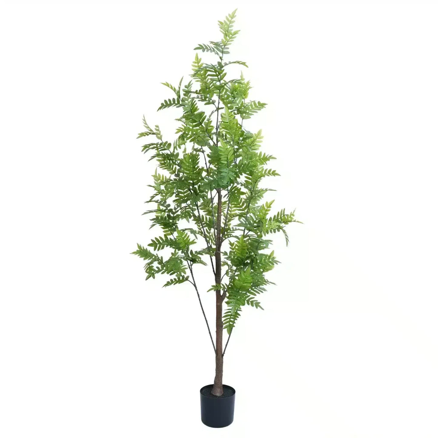 Premium Real Touch Artificial Bracken Palm Tree 180cm