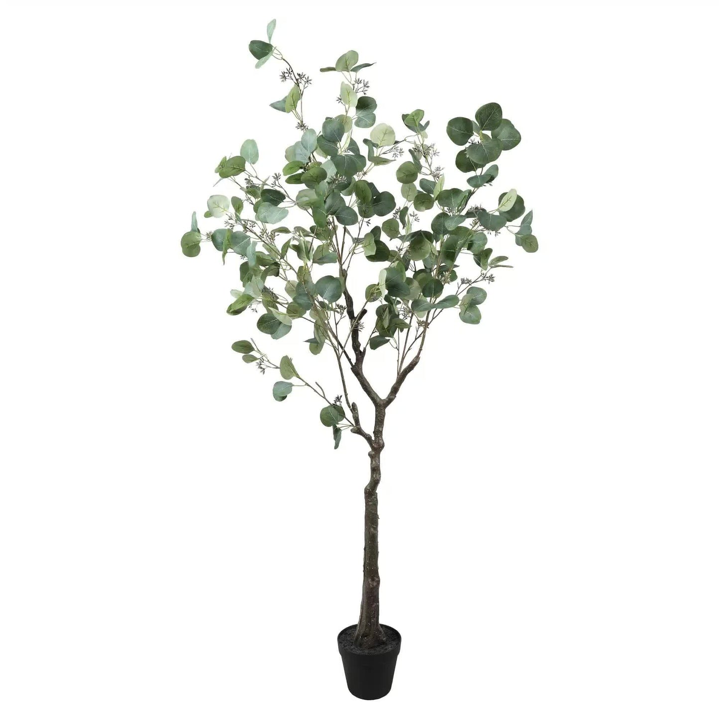 Artificial Eucalyptus Tree (Red Box Eucalyptus Polyanthemos) 150cm