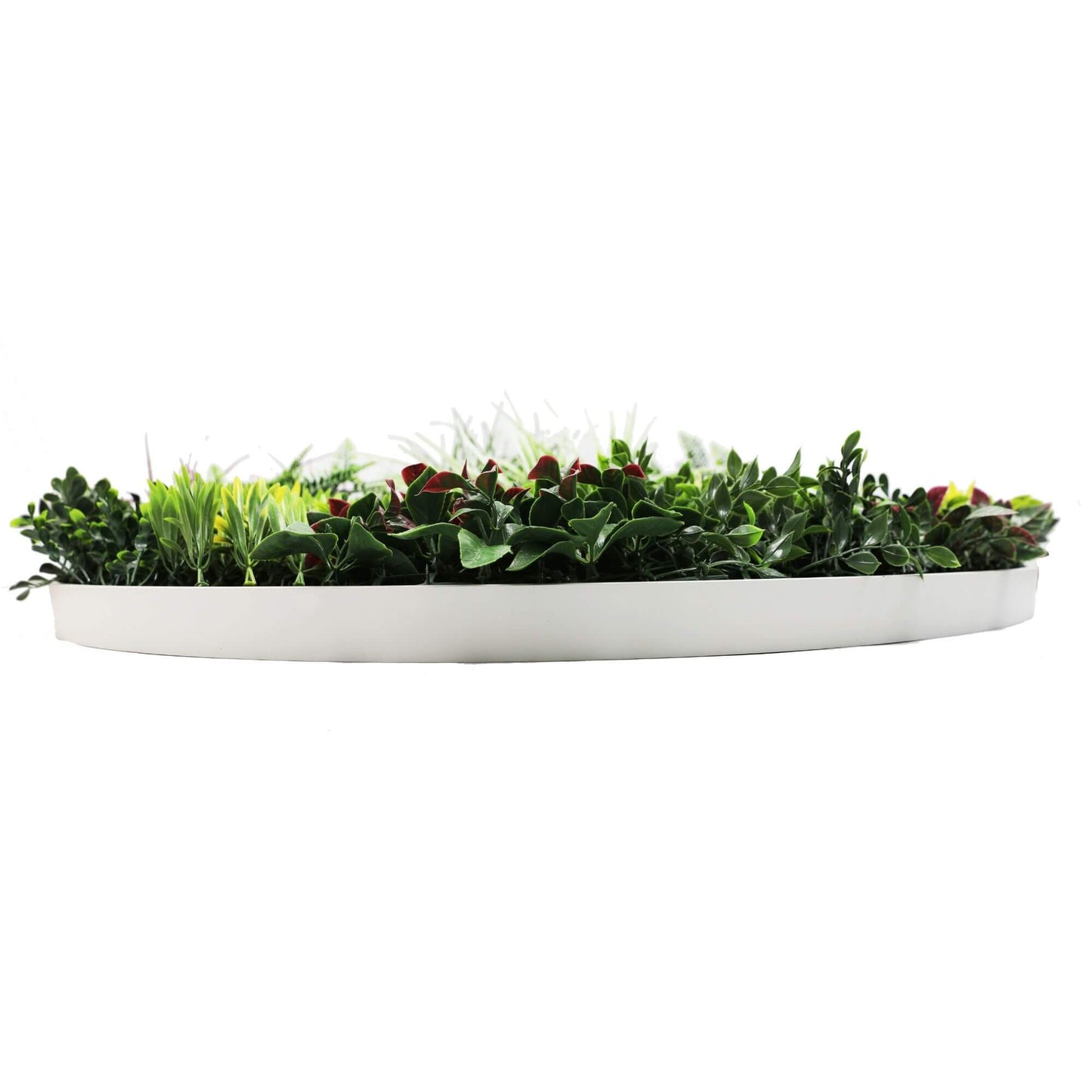 Slimline Artificial Green Wall Disc Art 100cm Colour Fresh UV Resistant (White)