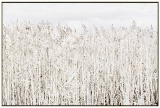 Pampas Grass Framed Canvas Wall Art 120cm