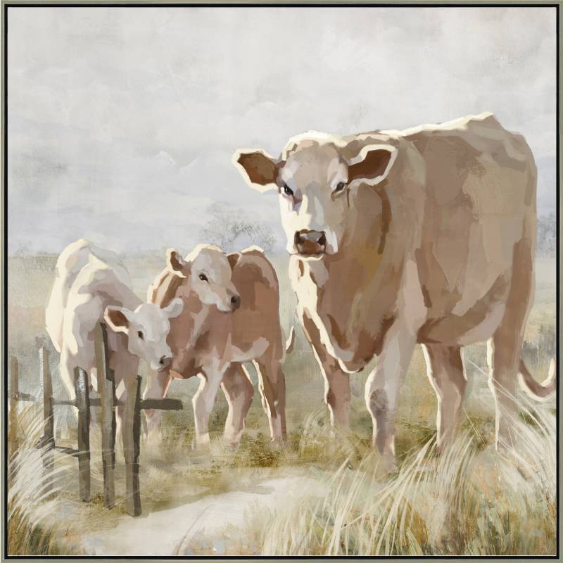 Cows In The Paddock Framed Canvas 80x80cm