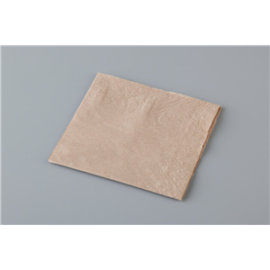 2000 Napkins 2 Ply Cocktail