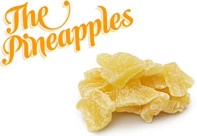 12 X Natural Grocer Pineapple Dried Diced 1Kg