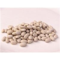 12 X Beans American (Northern) 1Kg