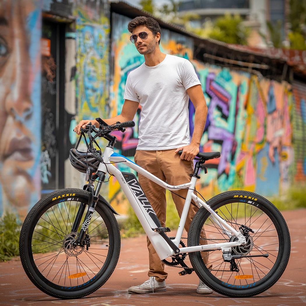 Valk electric sales bike charger