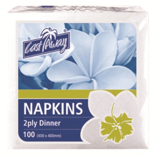 100 Napkins 2 Ply Dinner White